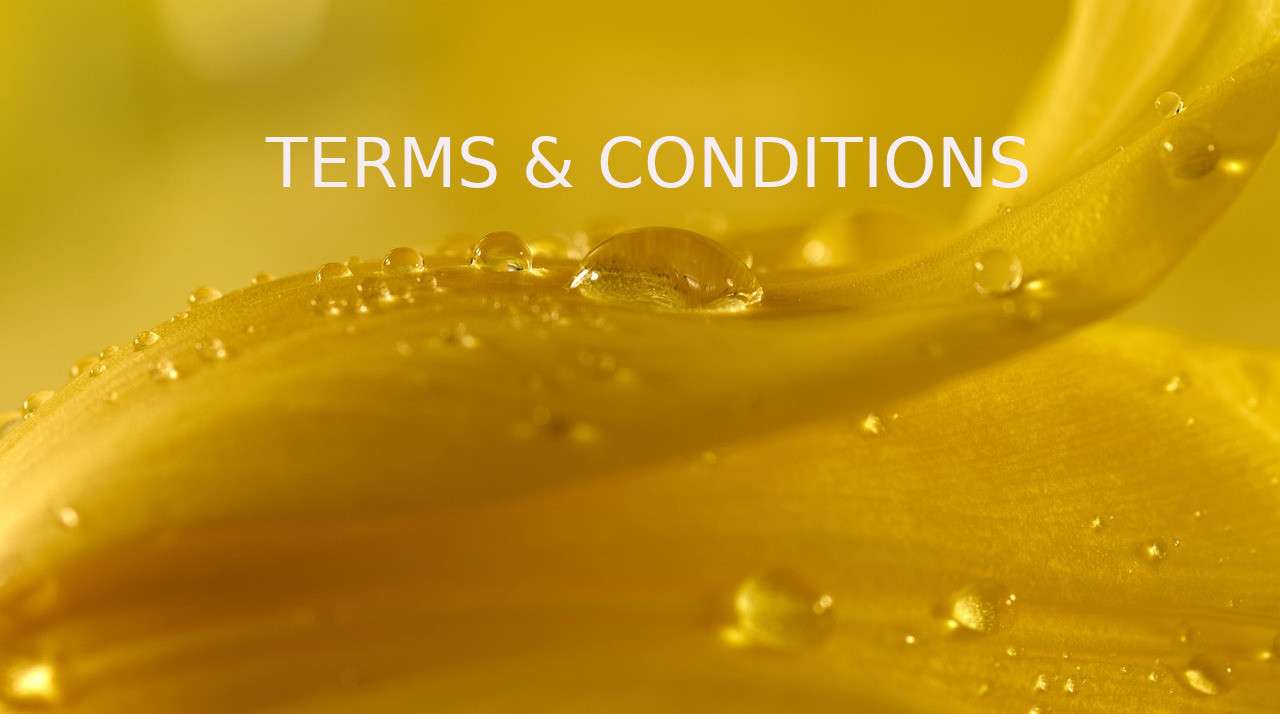 terms-conditions