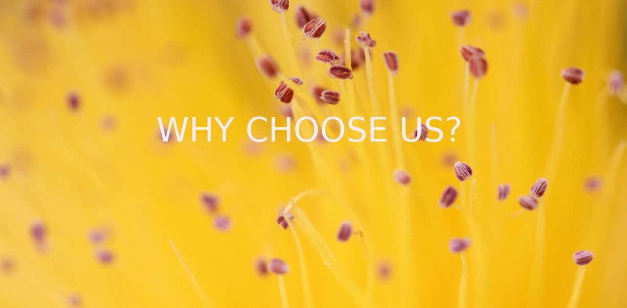 why-choose-us